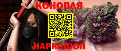гидра Бердск