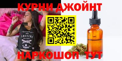 гидра Бердск