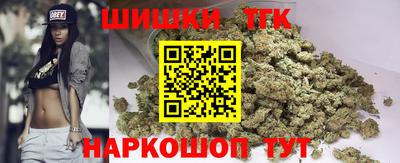 гидра Бердск