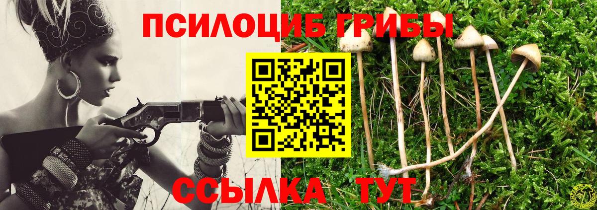 Псилоцибиновые грибы Cubensis  Галлюциногенные грибы Psilocybe  Вход с VPN  Кизилюрт 