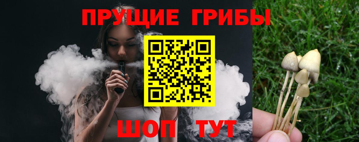 Псилоцибиновые грибы GOLDEN TEACHER Кизилюрт